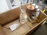 Test fuel cell
